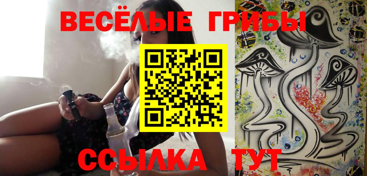 Псилоцибиновые грибы Psilocybe Кимовск