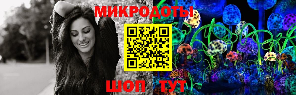 Кимовск  Галлюциногенные грибы Cubensis  как найти наркотики  Галлюциногенные грибы прущие грибы  Вход с VPN 